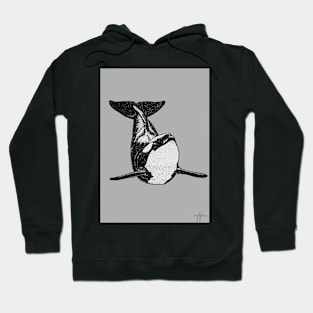 Orca Belly Flop Hoodie